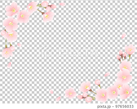 Somei Yoshino cherry blossom frame material 97656033