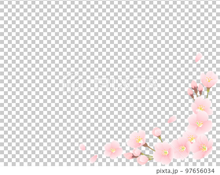 Somei Yoshino cherry blossom frame material 97656034