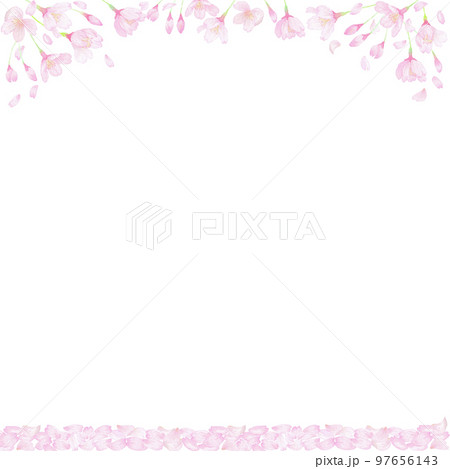 桜が咲く下で花びらが降り積もるフレーム。水彩で描いた春の背景素材。 97656143