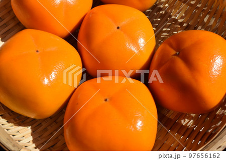 収穫した柿の実 庄内柿 97656162