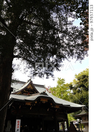 鬼子母神、きしもじん、きしぼじん、雑司ヶ谷、安産、子育、神様、カリテイモ、子宝、ぞうしがや、神社、お 鬼子母神、きしもじん、きしぼじん、雑司ヶ谷、安産、子育、神様、カリテイモ、子宝、ぞうしがや、神社、お 97657113