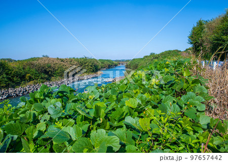 荒川の流れ　北本水辺プラザ公園付近からの風景　秋の季節　　 97657442
