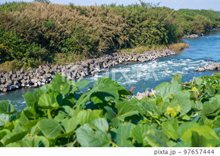 荒川の流れ　北本水辺プラザ公園付近からの風景　秋の季節　　 97657444