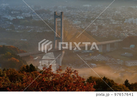 ミューズパークからの秩父盆地の雲海 97657641