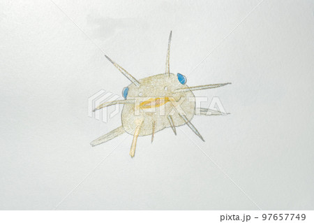 日本の魚世界の魚大集合 97657749