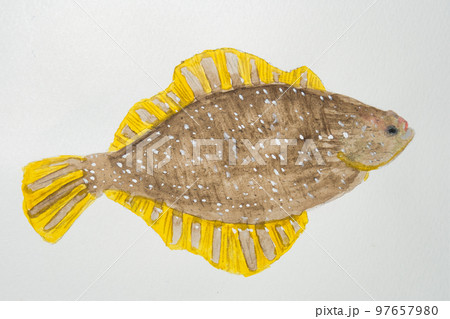 日本の魚世界の魚大集合 97657980