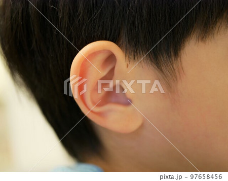 男の子の耳 97658456