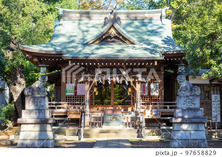 【日本】東京、木漏れ日の中の小さな神社の本殿外観 97658829