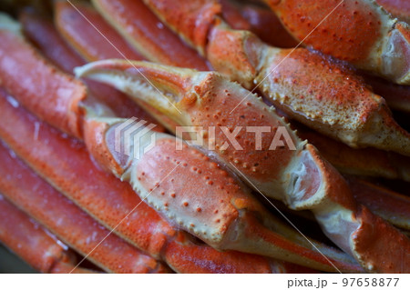 冷凍ズワイガニ 冷凍ズワイガニ 97658877