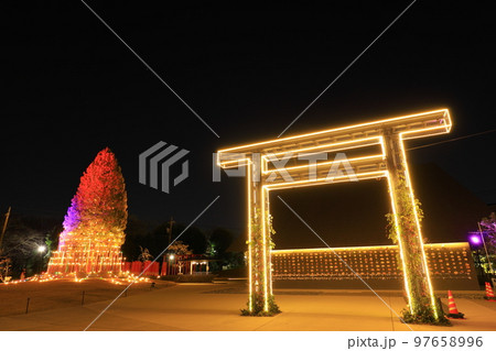 武蔵野令和神社 ライトアップ 武蔵野令和神社 ライトアップ 97658996