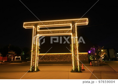 武蔵野令和神社 ライトアップ 武蔵野令和神社 ライトアップ 97659004