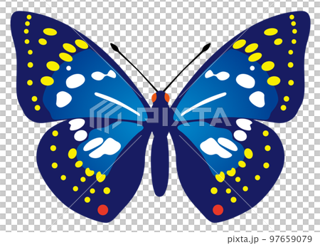 オオムラサキ オオムラサキ 97659079