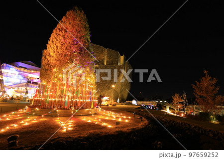 ところざわサクラタウン　ツリー　ライトアップ 97659252