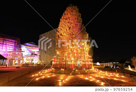 ところざわサクラタウン　ツリー　ライトアップ 97659254