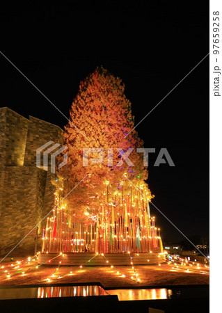 ところざわサクラタウン　ツリー　ライトアップ 97659258