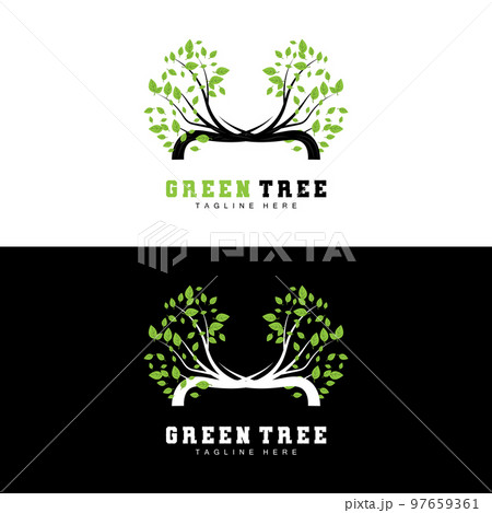 Green Tree Logo Design, Bonsai Tree Logo Illustration, Leaf And Wood Vector 97659361