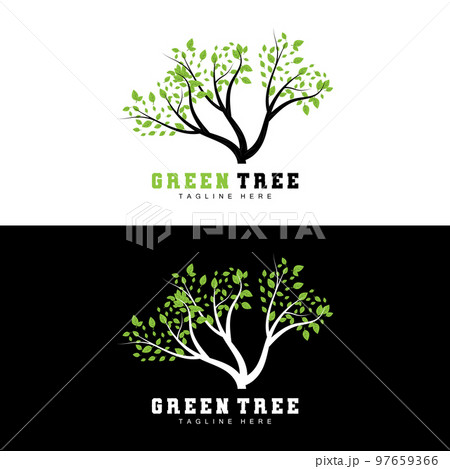 Green Tree Logo Design, Bonsai Tree Logo Illustration, Leaf And Wood Vector 97659366