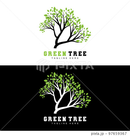 Green Tree Logo Design, Bonsai Tree Logo Illustration, Leaf And Wood Vector 97659367