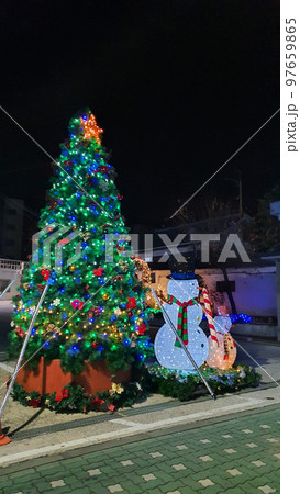 クリスマス 目 クリスマスツリー 97659865