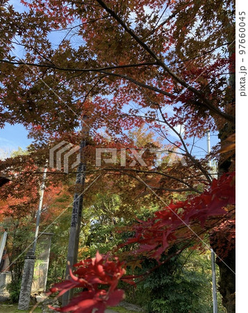 秋の西の小さな京都 相生 善光寺 秋の西の小さな京都 相生 善光寺 97660045