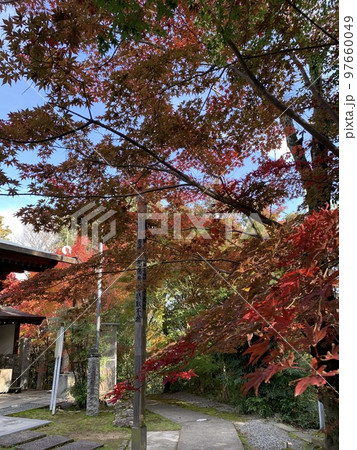 秋の西の小さな京都 相生 善光寺 秋の西の小さな京都 相生 善光寺 97660049