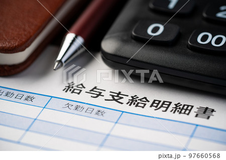 給与支給明細書 97660568