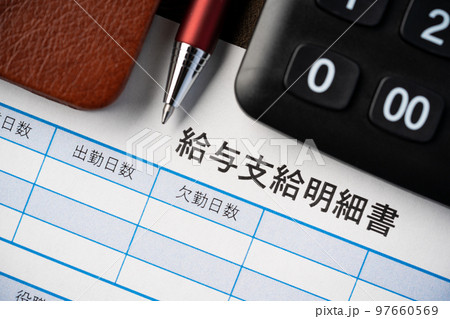 給与支給明細書 97660569