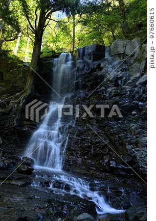 母の白滝 97660615