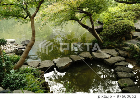 鯉, コイ, こい, 魚, 錦鯉, にしきごい, 赤い鯉, 黄色鯉, 観賞, 綺麗, 美しい, 目黒 鯉, コイ, こい, 魚, 錦鯉, にしきごい, 赤い鯉, 黄色鯉, 観賞, 綺麗, 美しい, 目黒 97660652