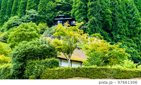 北里柴三郎記念館　周辺風景 「2024年度の上期を目処に新紙幣の千円札に北里柴三郎博士の肖像が採用」 97661306