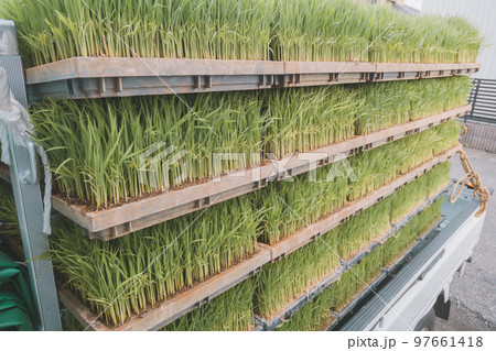 Agriculture Agriculture 97661418