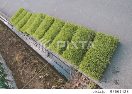 Agriculture Agriculture 97661428