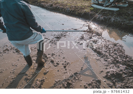 Agriculture 97661432