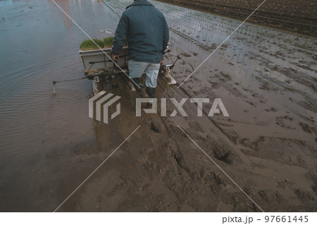 Agriculture Agriculture 97661445