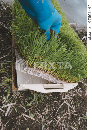 Agriculture 97661449