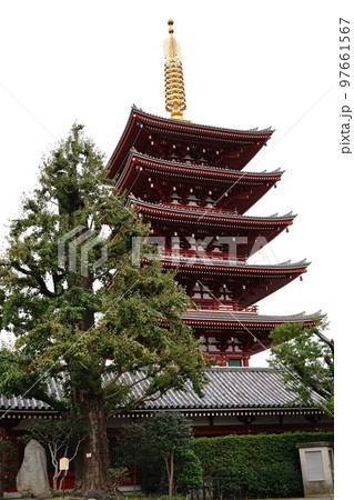 浅草寺、せんそうじ、浅草、都内最古、寺、金龍山浅草寺、きんりゅうざんせんそうじ、金龍山、仲見世、通り 浅草寺、せんそうじ、浅草、都内最古、寺、金龍山浅草寺、きんりゅうざんせんそうじ、金龍山、仲見世、通り 97661567