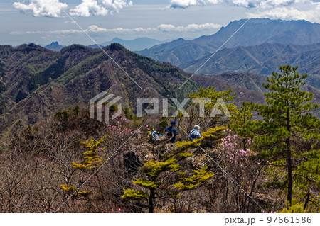 早春の西上州・シラケ山山頂から見る両神山・武甲山 97661586