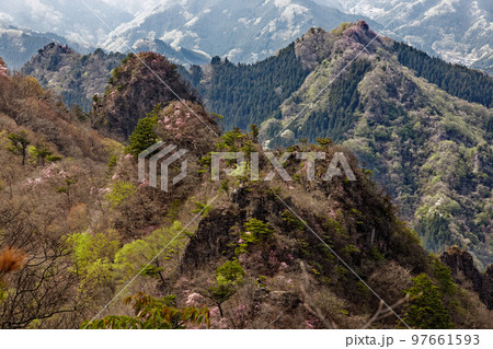 早春の西上州・シラケ山稜線から見る烏帽子岳と三ツ岩岳 97661593