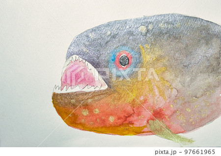 日本の魚世界の魚大集合 日本の魚世界の魚大集合 97661965