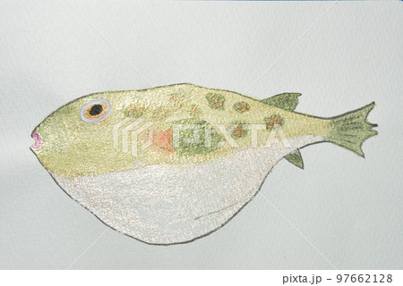 日本の魚世界の魚大集合 97662128