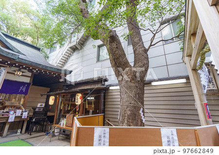 少彦名神社（大阪府大阪市中央区道修町） 97662849