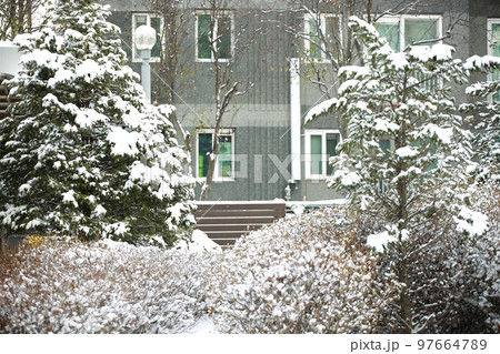 目 冬 白 97664789