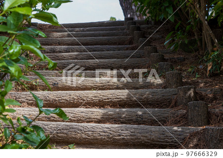 山道の階段の途中から上を見上げる 山道の階段の途中から上を見上げる 97666329