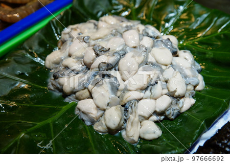 牡蠣 オイスター カキ 97666692