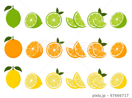 Big vector set of citrus fruits.Orange,lemon and lime icons on white background 97666717