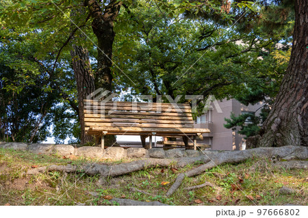 柔らかな日の光を浴びる公園のベンチ 97666802