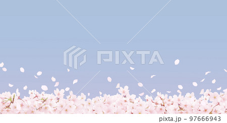桜 イラスト リアル  桜 イラスト リアル  97666943
