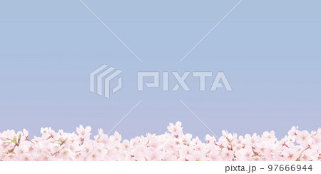 桜 イラスト リアル  桜 イラスト リアル  97666944