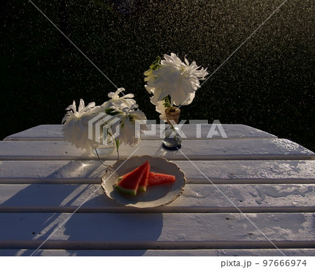 Beautiful white peonies design in the rain in the garden Beautiful white peonies design in the rain in the garden 97666974