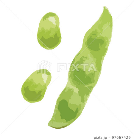 枝豆の水彩風イラスト 97667429